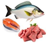 Fish and meat items